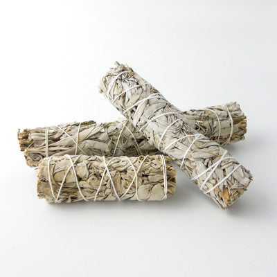 White Sage Smudge Stick