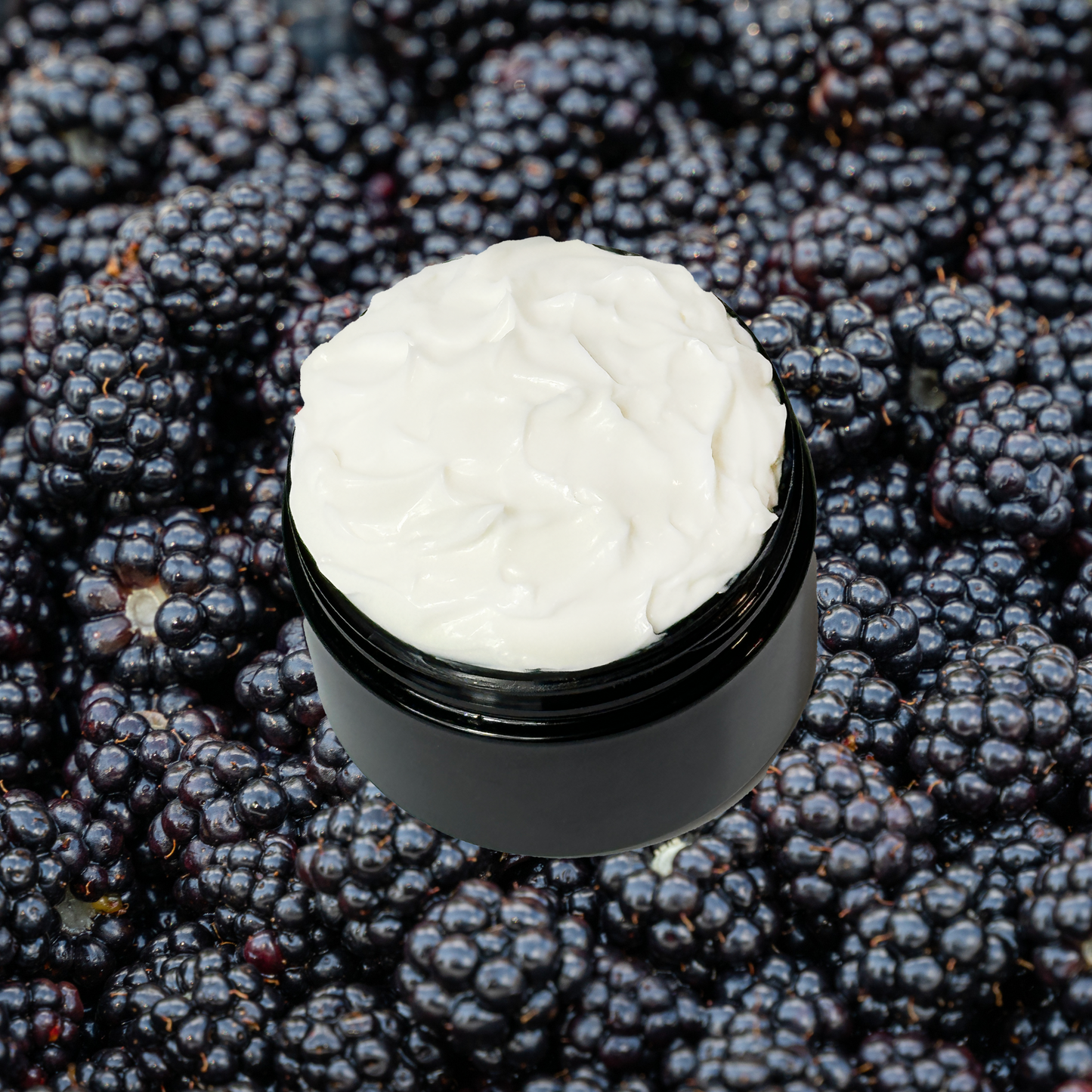 Blackberry Vanilla Organic Moisturizing Body Lotion with Cocoa Butter Black Raspberry & Vanilla Type | 5 oz